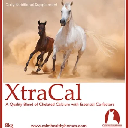 calm healthy horses xtracal 2kg sharpes feed barn wellington