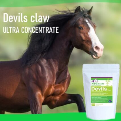 npc health devils claw 500gm sharpes feed barn wellington