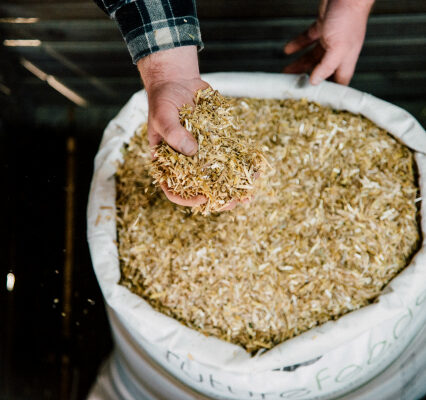 future feeds chaff oaten chaff 25kg sharpes feed barn wellington